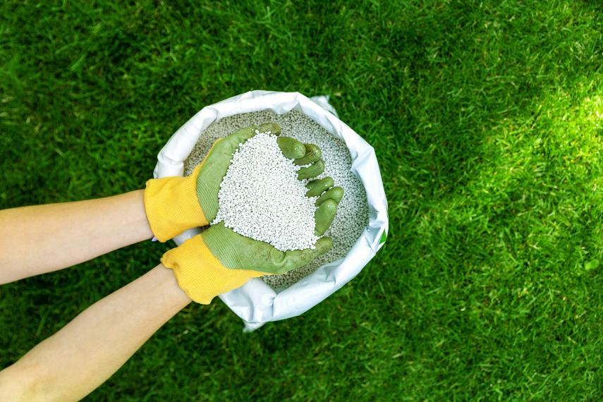 top meilleurs fertilisants gazon quebec