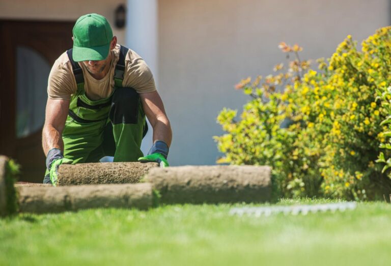 types gazon conditions climatiques quebec